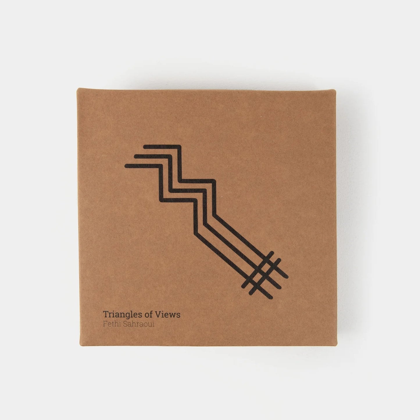 Triangles of Views - Fethi Sahraoui