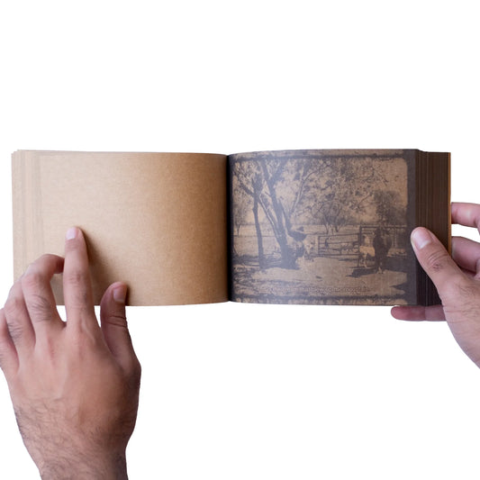 Surveilling a Crime Scene by Alana Hunt