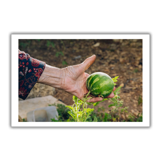 It Will Grow | Maen Hammad