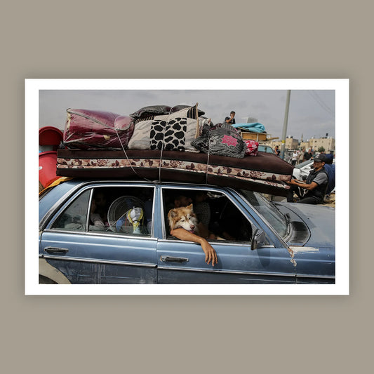 Rafah, until we meet again by Jehad Alshrafi