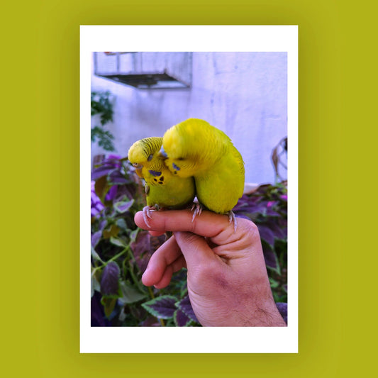 A Memorial in Fragments - Majd Arandas