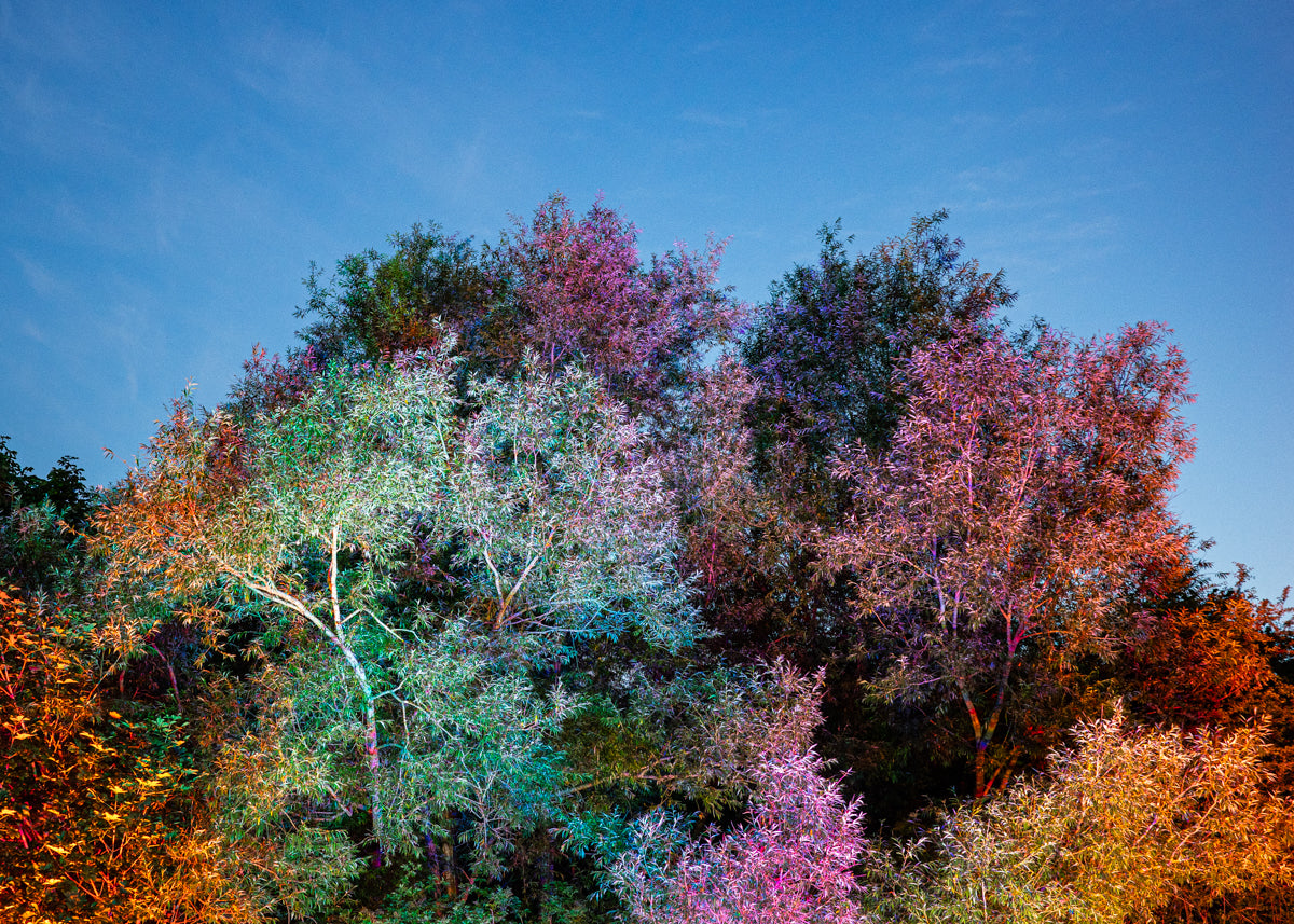 Light Spill, Hay - Print by Mohamed Somji