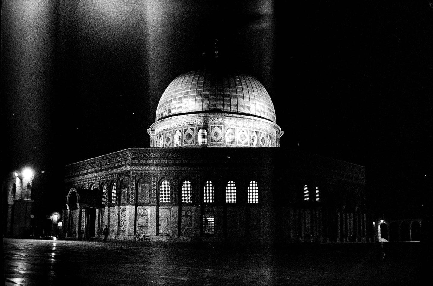 Let the Light Shine Through by Sari Tarazi