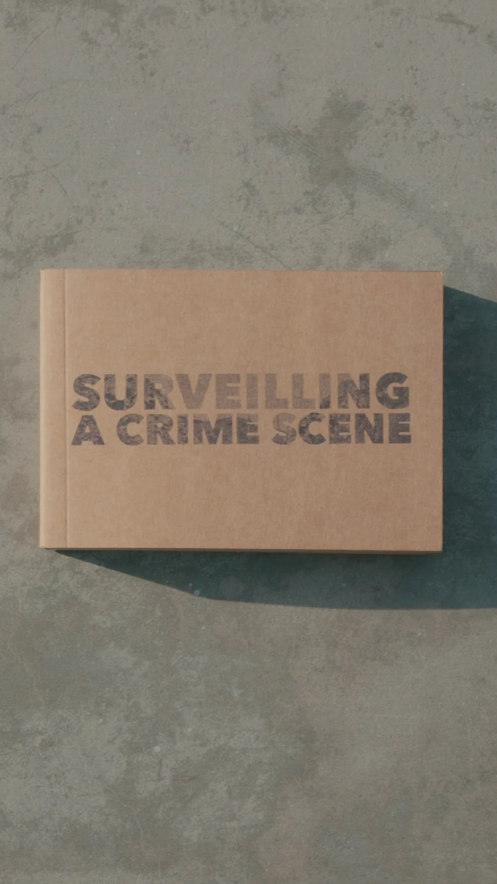 Surveilling a Crime Scene by Alana Hunt