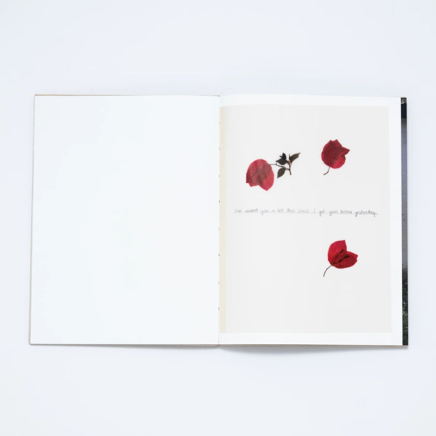 How to Climb A Tree - Aparna Novi (Jojo Editions)