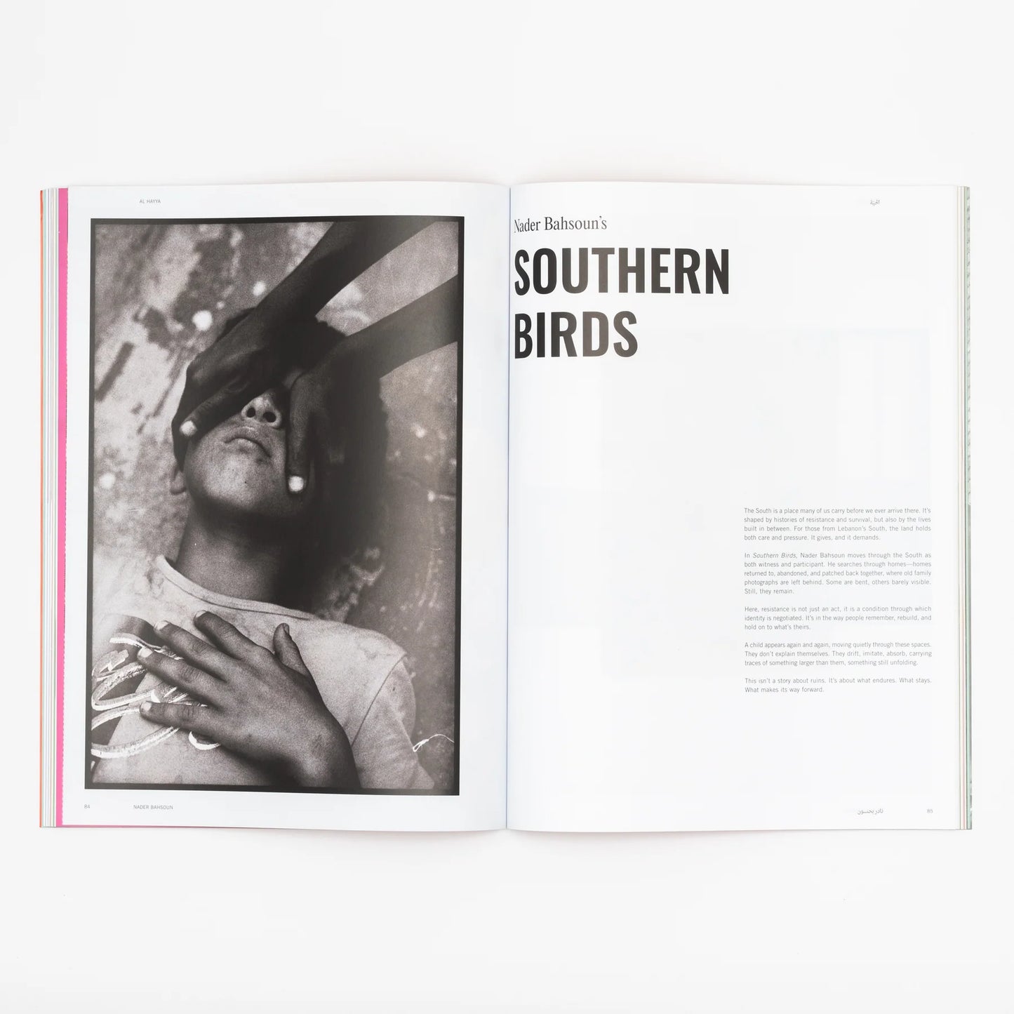 Al Hayya - Issue #4 | Dreams of Liberation
