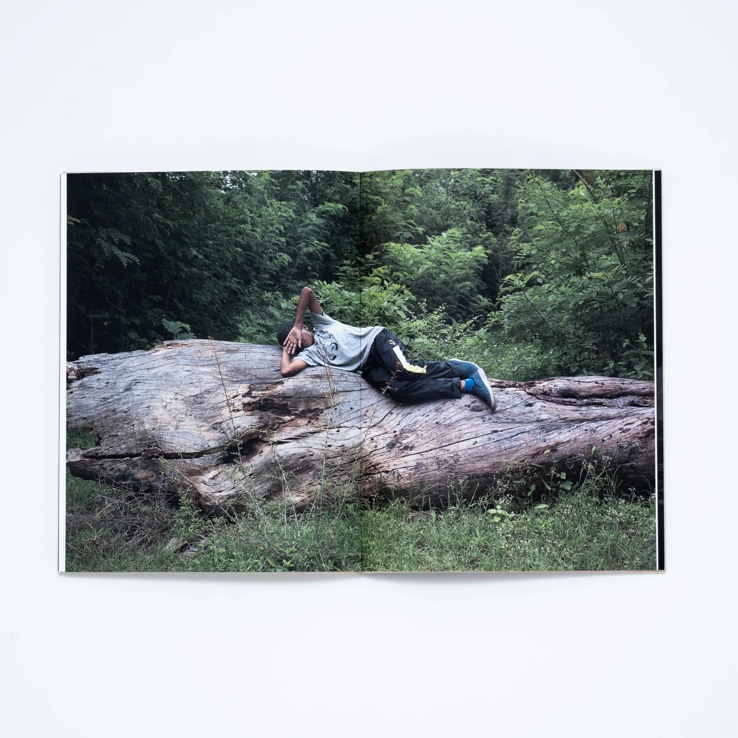 How to Climb A Tree - Aparna Novi (Jojo Editions)
