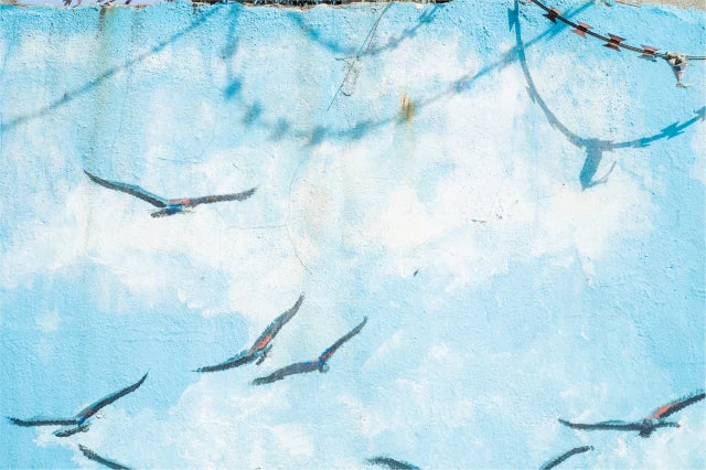 On Beauty - Lara Chahine
