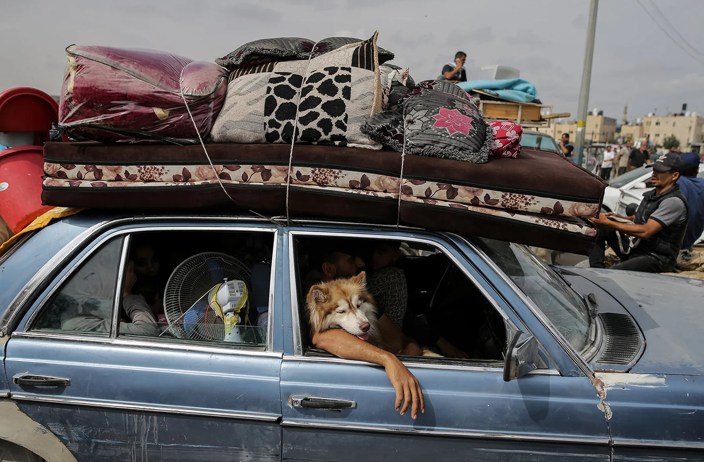 Rafah, until we meet again by Jehad Alshrafi