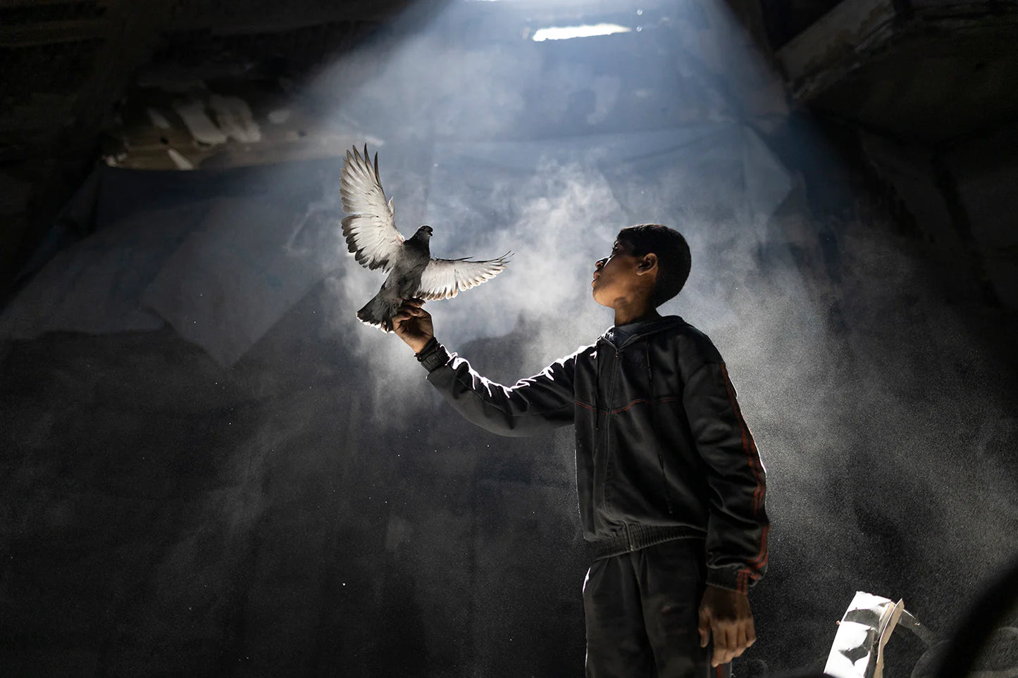 We love life whenever we can find it! by Mahmoud Abu Hamda