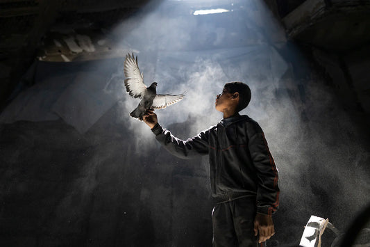 We love life whenever we can find it! by Mahmoud Abu Hamda