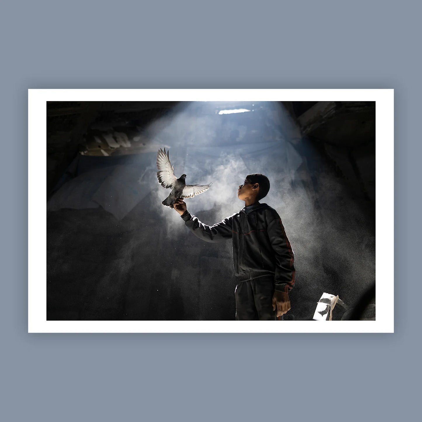 We love life whenever we can find it! by Mahmoud Abu Hamda