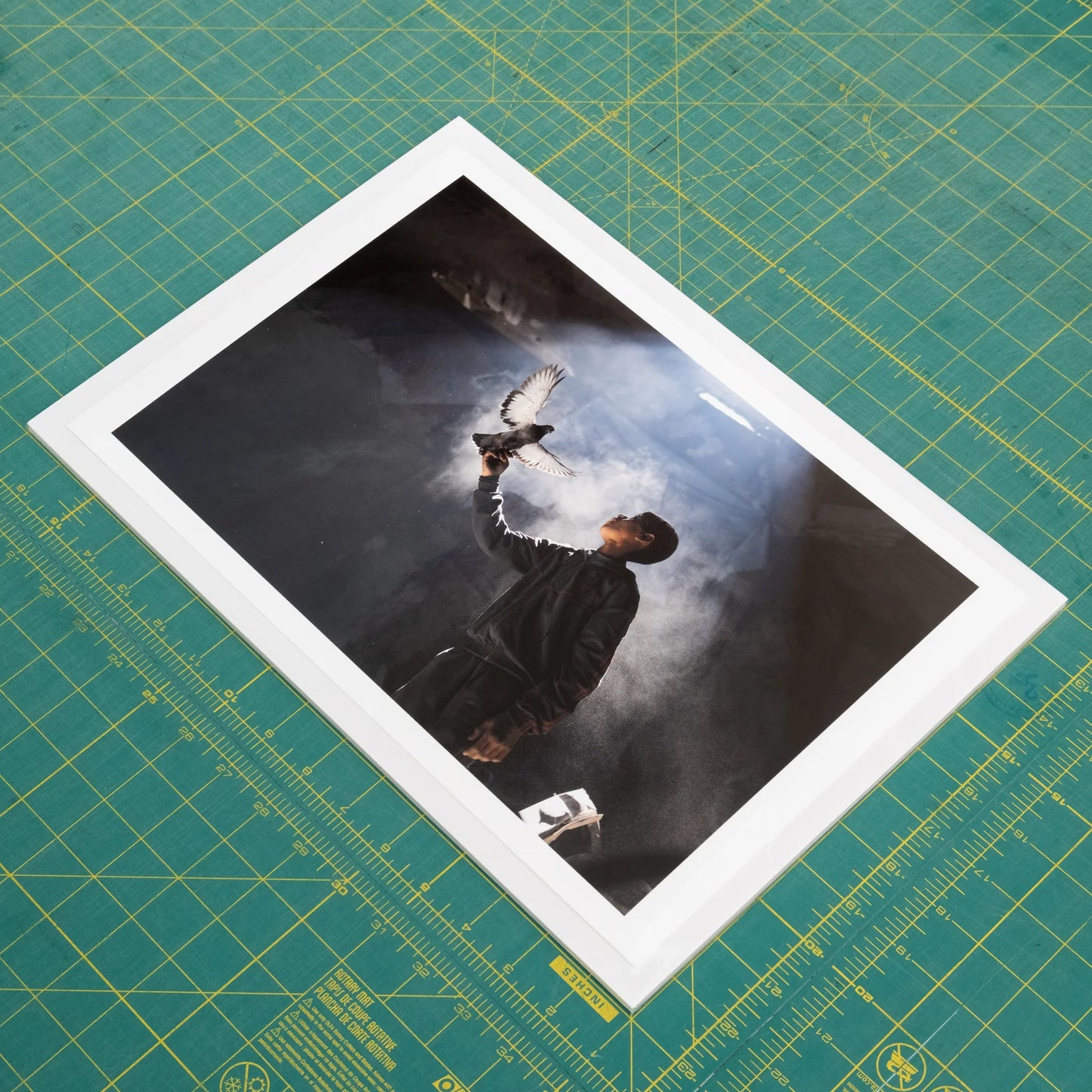 We love life whenever we can find it! by Mahmoud Abu Hamda