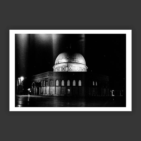 Let the Light Shine Through by Sari Tarazi