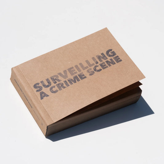 Surveilling a Crime Scene by Alana Hunt