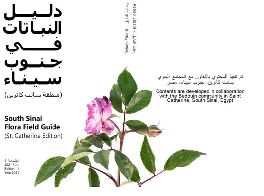 The South Sinai Flora Field Guide | Rehab Eldalil